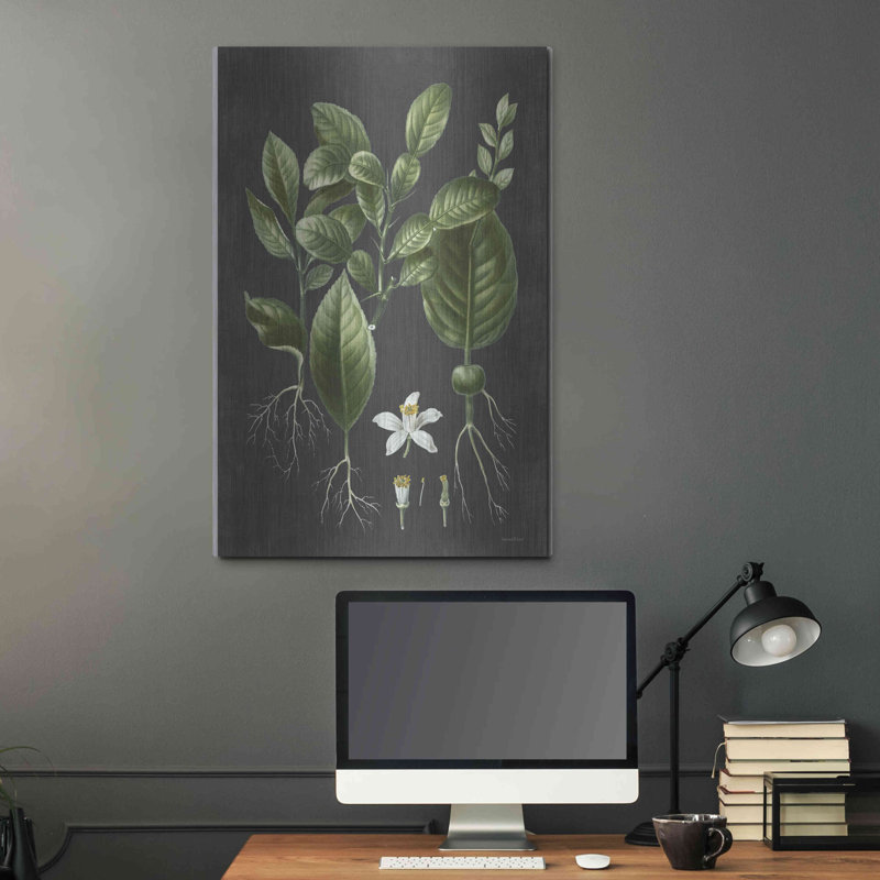 «Citrus Botanical» par lettré et doublé, H 36 po x l 24 po