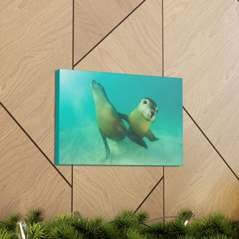No Frame Print on Canvas, 27.94cm H x 35.56cm W