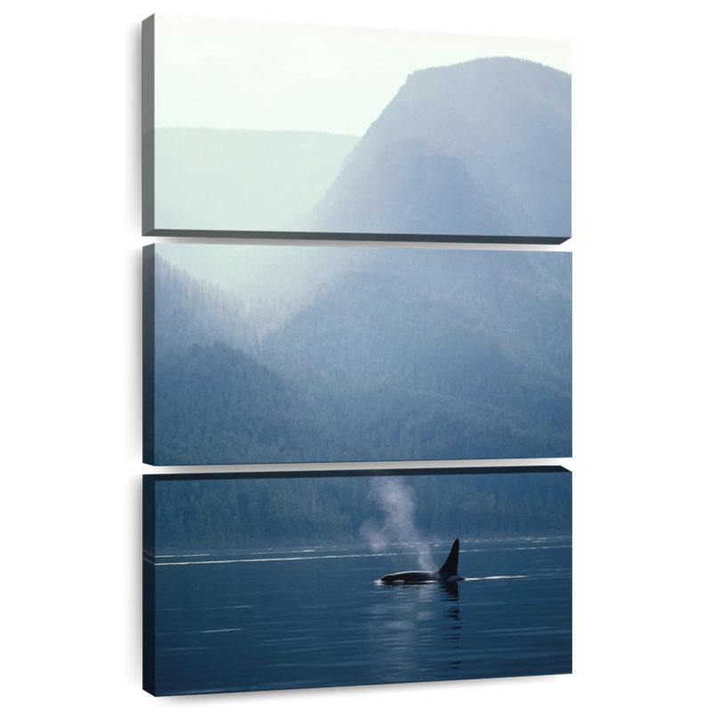 Alvord Spouting Killer Whale, 38" H x 24" W