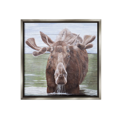 "Rustic Moose In Lake" par Diane Fifer sur toile