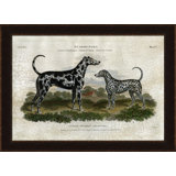 G. Danish And Dalmation Print