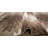 La Junta Southwestern Indoor Rug-23243155