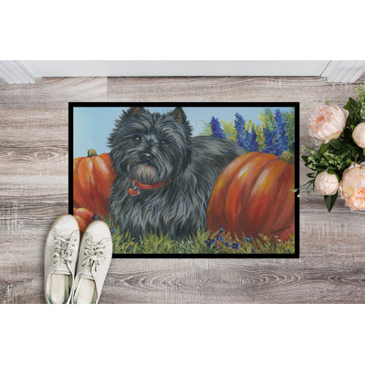 Guerrie Non-Slip Doormat