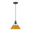 Luminaire suspendu conique à 1 lumière Weatherford-660949696-663876208-663876209