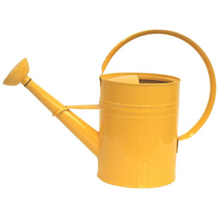 Arrosoir en acier galvanisé émaillé 1 gallon