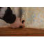 Tapis oriental Oushak en sourdine noué à la main 2 x 4