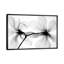 Magnolias I by Hong Pham - Print on Canvas-101342192-113653148
