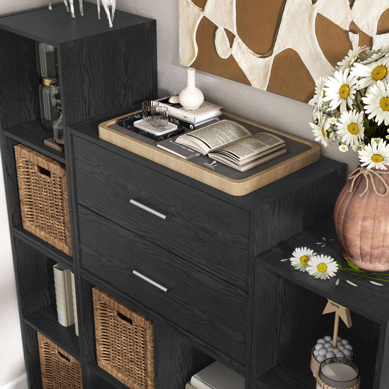 Breayla 15.7"H 2-Drawer Wooden Storage Bookcase, Black