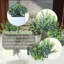 Paquet de 4 plantes artificielles en pots blancs