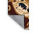 Royal Canopy Rug-698916175