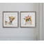 Animals 2 - Piece Framed Art-27611464