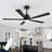 Raguel 52" 5-Blade Downrod Ceiling Fan with LED Light and Remote Control-788904124