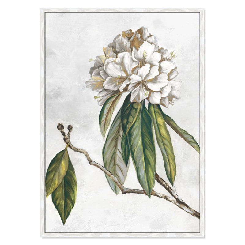 «Pearly Beauty II» par Eva Watts, Grain de bois blanc, L 29,5 po x H 41,5 po, Impression encadrée