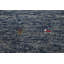Tapis tribal bleu Gabbeh 4 x 6