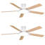 Ventilateur de plafond 52 pouces avec lumières et télécommande (ensemble de 2)-65749824
