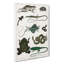Various Reptiles XXXVI by Oliver Goldsmith - Wrapped Canvas Painting-55370235