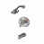 Brushed Nickel / Polished Chrome is out of stock
