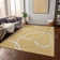 Machine Washable Indoor/Outdoor Chayden ACN999 Rug