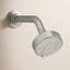 Awaken G90 2.0 GPM Multifunction Shower Head-827888399