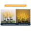 Piquet de jardin solaire solaire Katheen