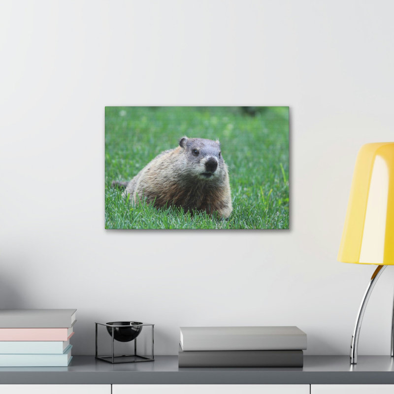 No Frame Print on Canvas, 30.48cm H x 45.72cm W