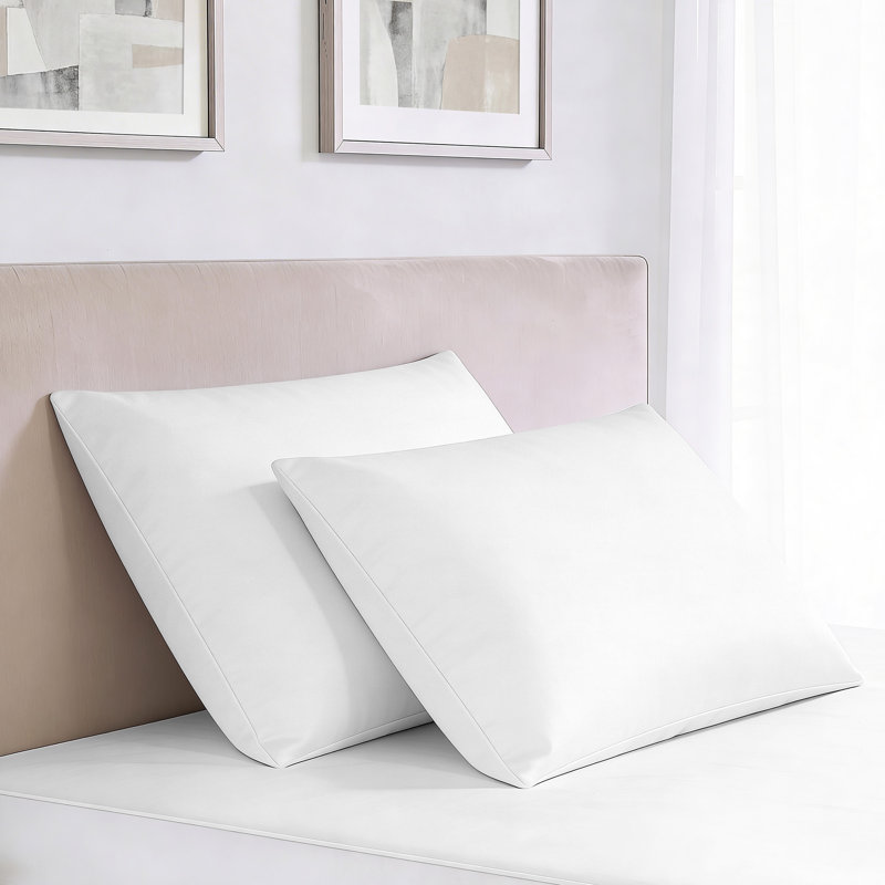 All-in-One Bed Bug Blocker® Pillow Protector, 2-Pack, Full / Queen