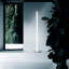 Coordinates LED Floor Lamp