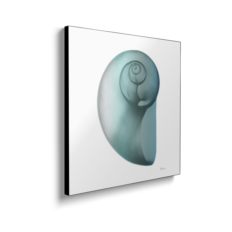 Reproduction d'art mural sur toile en métal, "Escargot d'eau II" par Albert Koetsier