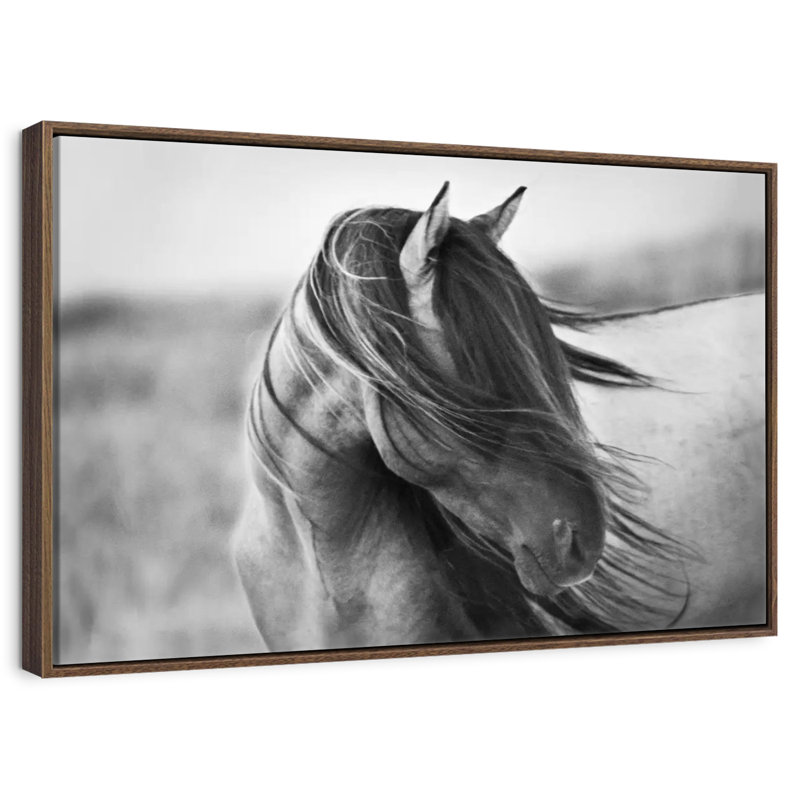 Fierce Grace, 25 po x 17 po, Cadre flottant noyer