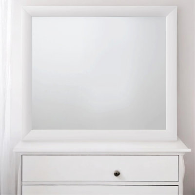Elegant Mirror, Accent Mirror For Indoor
