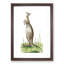 Great Kangaroo by George Shaw - Picture Frame Painting Print-55620761-55620759