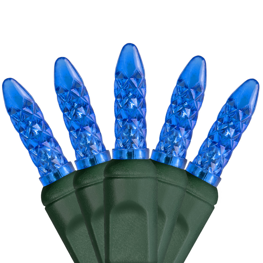 288'' LED String Lights Wintergreen Lighting 