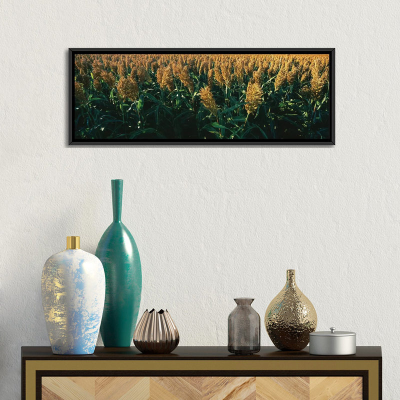 «Crop in the Field, Kansas, USA», reproduction de photo sur toile, H 20 po x l 60 po x P 1,5 po, Toile avec cadre noir