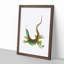 Great-Spotted Lizard by George Shaw - Framed Print-55620703-55620704