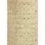 Wool Oriental Area Rug in Ivory/ Sand-2043529196