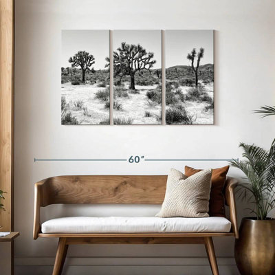 Alvord Black Arizona - Beautiful Joshua Trees