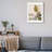White Picture Frame - Set of 6 with Mat