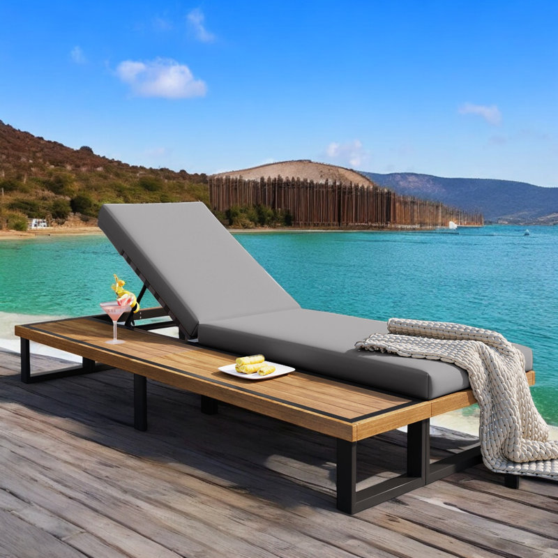 Chaise longue d'extérieur avec coussins, Gris