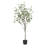 Faux Eucalyptus Tree in Pot-1699599811
