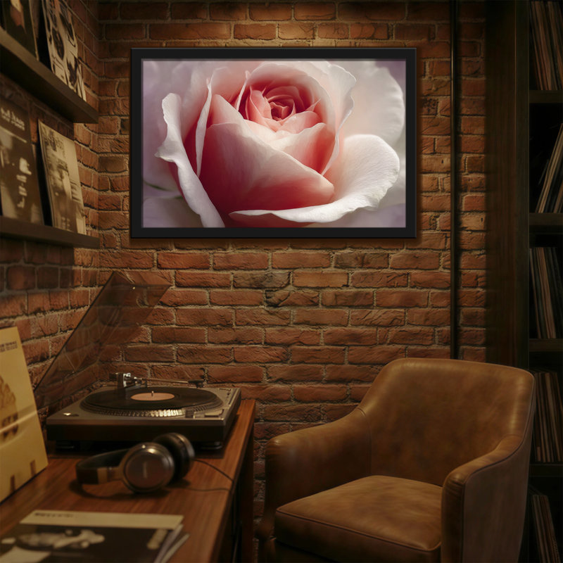 Plantes et fleurs rose doux rose gros plan, H 12 po x l 18 po