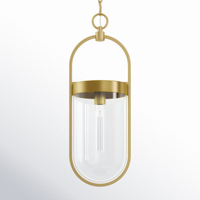 Single Light Glass Dimmable Pendant