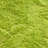 Plush Bright Lime Area Rug-24774969
