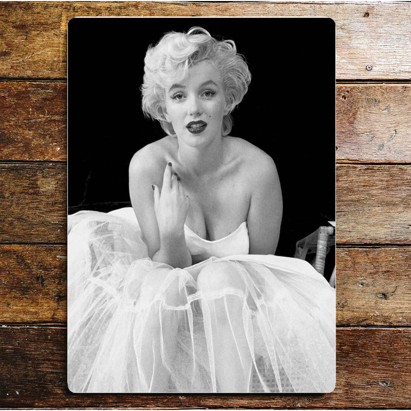 Entertainment Wall Decor on Metal, 60cm H x 40cm W