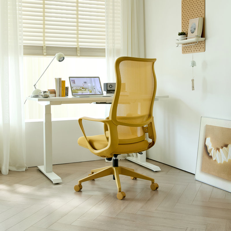 High Back Ergonomic Mesh Office Chair with Adjustable Lumbar Support, Rocking Function, Swivel Task Chair for Home Office, Computer Desk & Study Room