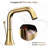 Widespread 2-handle Bathroom Faucet with Drain Assembly
