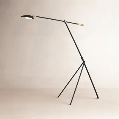 Cillian 60.5'' Dimmable LED Floor Lamp