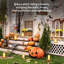 Metal Candelabra with Candle Included-1343976732