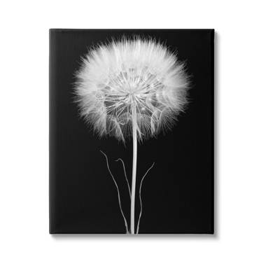 Ebern Designs Flower Dandelion On Black Background On Canvas by Silvionka  Print