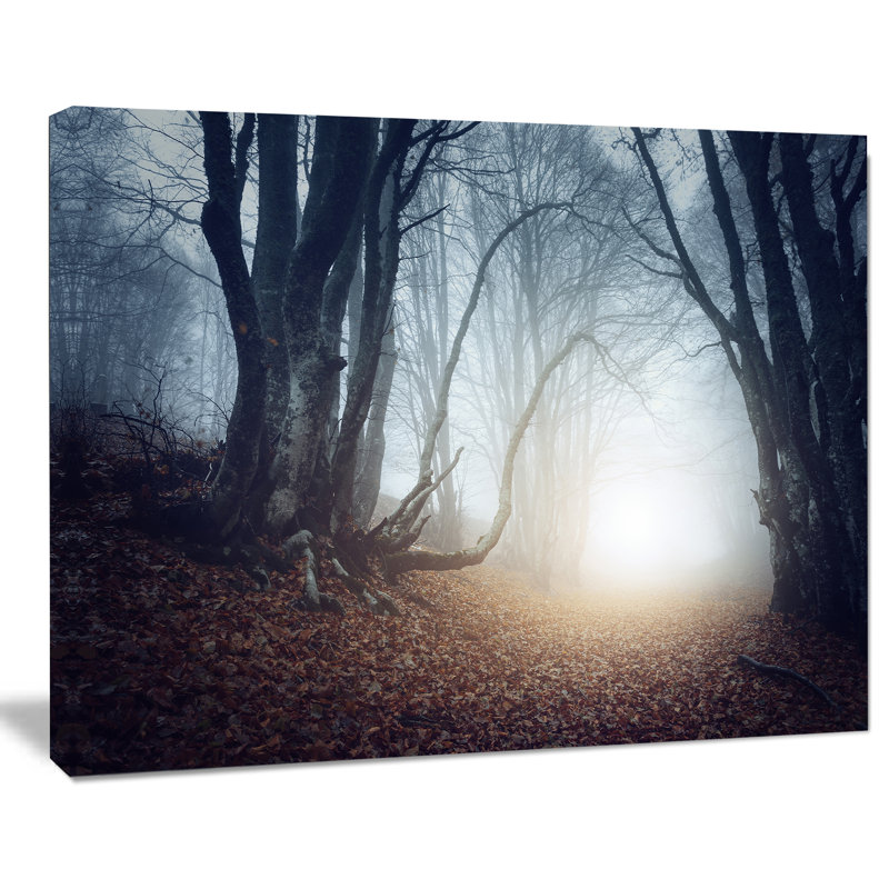 Mystical Forest Landscape Canvas Print in White and Brown