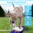 Pet Fountain-98497115